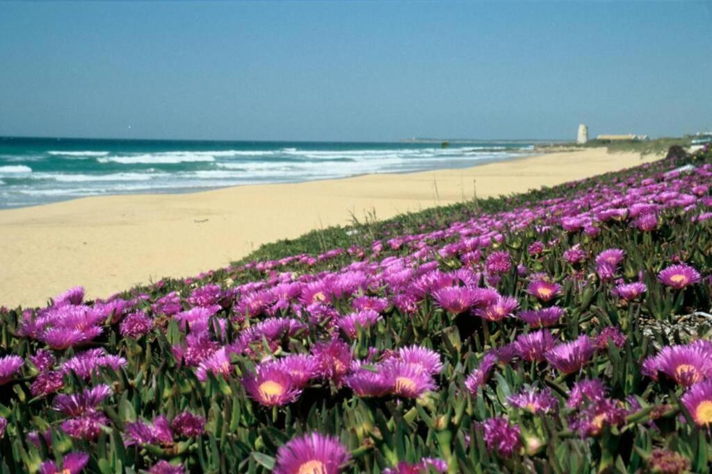 Appartement Albayalde Cielo Y Mar à Vejer de la Frontera Extérieur photo